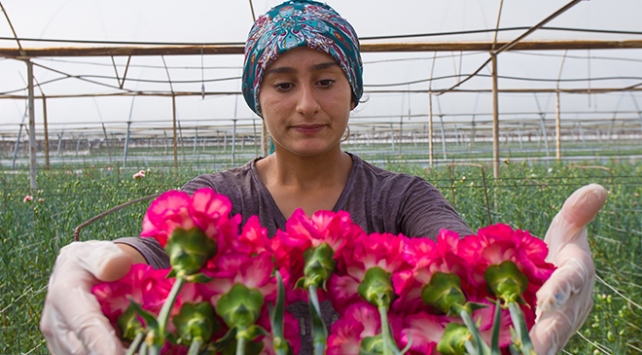 48 ülkenin kadınına 80 milyon dal Türk çiçeği