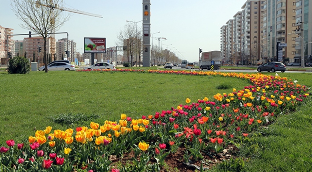 Diyarbakır’da milyonlarca çiçek dikiliyor