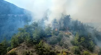 Karabük’te Orman Yangınına Hızlı Müdahale