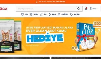 Kedi Tüyleri ve Sağlığı: Neden Önemlidir?